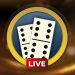 Dominoes Video Live Domino Mod Apk