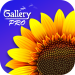 Gallery PRO Paid Apk