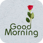 Good Morning Photos Download